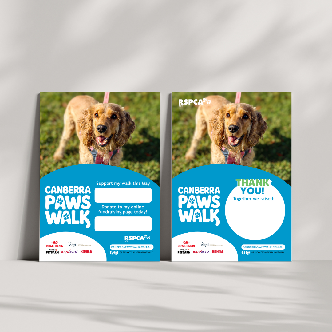 Canberra Paws Walk Fundraising poster 2