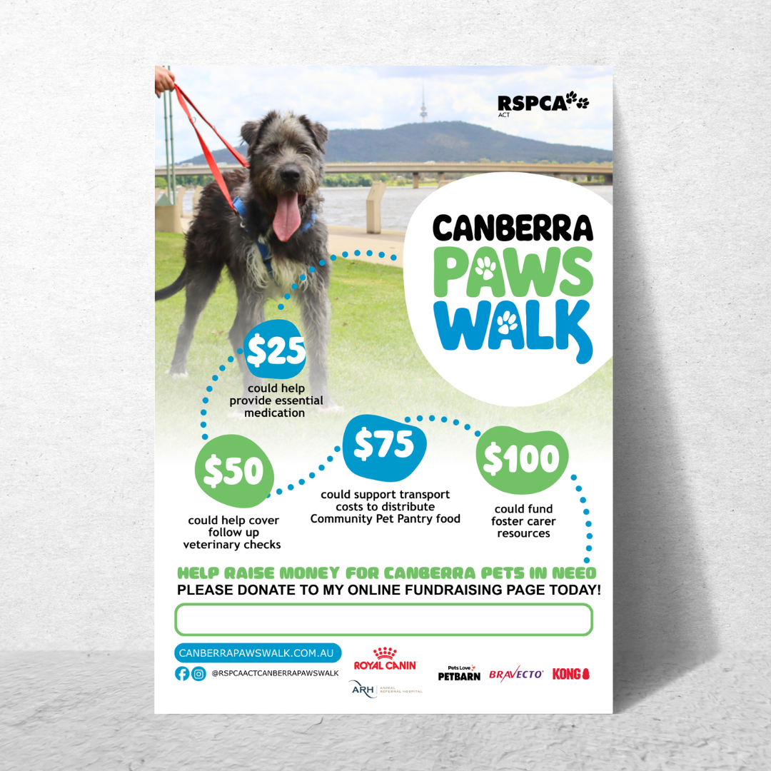 Canberra Paws Walk Fundraising poster 1